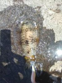 �����ꥤ��