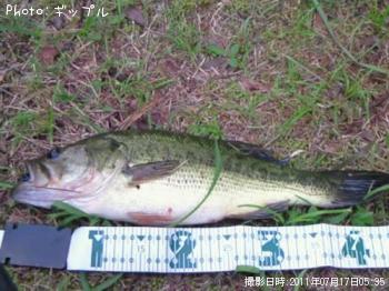 �֥�å��Х�