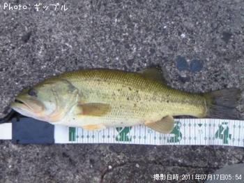 ¥Ö¥é¥Ã¥¯¥Ð¥¹