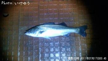 �����Х�