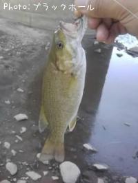 ���⡼��Х�