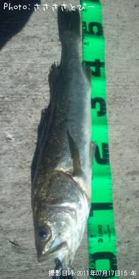 �����Х�