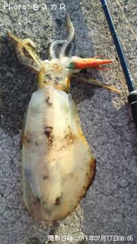 �����ꥤ��