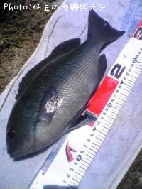 �����᥸��