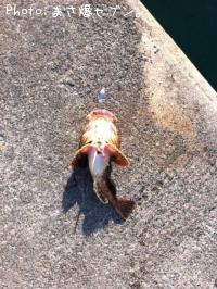 ���ॷ������