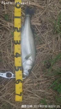 �����Х�