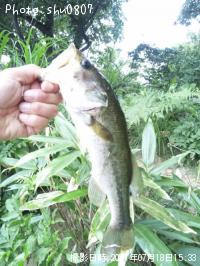 ¥Ö¥é¥Ã¥¯¥Ð¥¹