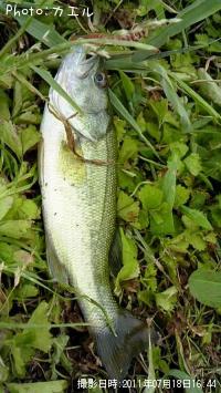 �֥�å��Х�