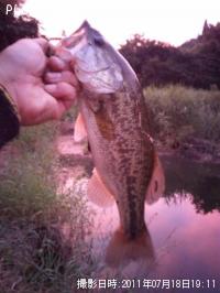 �֥�å��Х�