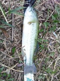 �֥�å��Х�