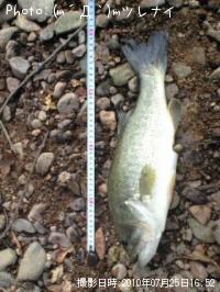 �֥�å��Х�