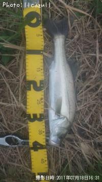 �����Х�