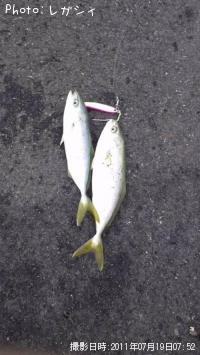 ���ʥ�������ѥ�