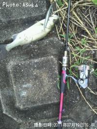 �����Х�