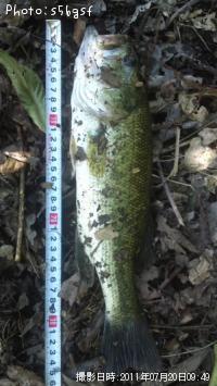 ¥Ö¥é¥Ã¥¯¥Ð¥¹