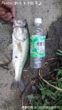 �֥�å��Х�