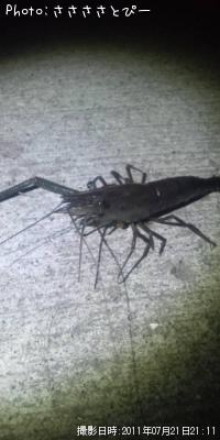 ��Ĺ����