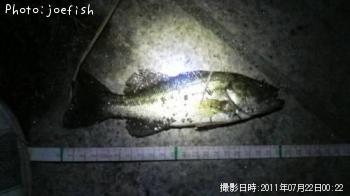 ¥Ö¥é¥Ã¥¯¥Ð¥¹