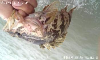 ¥¿¥±¥Î¥³¥á¥Ð¥ë