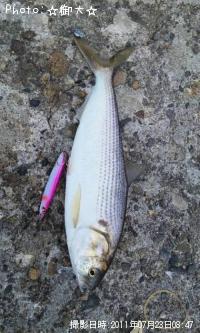 ���Υ���