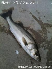 �����Х�