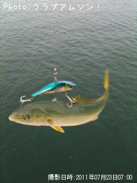 �����ä�