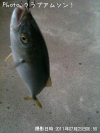 �����ä�