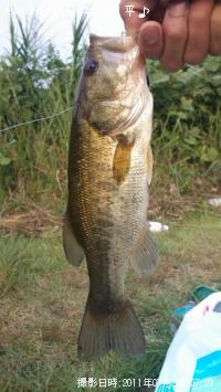 �֥�å��Х�