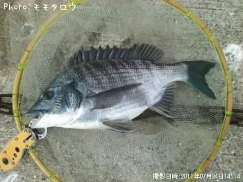 ¥Á¥Ì