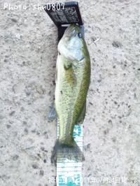 ¥Ö¥é¥Ã¥¯¥Ð¥¹