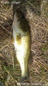 ¥Ö¥é¥Ã¥¯¥Ð¥¹