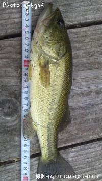 �֥�å��Х�