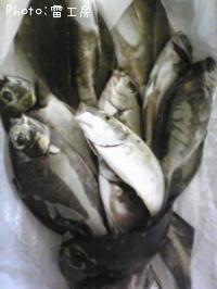 ���åѥ��졢����