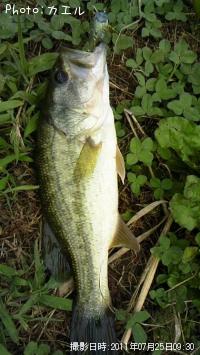 �֥�å��Х�