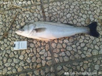 �����Х�