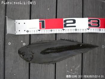 ¥·¥¿¥Ó¥é¥á