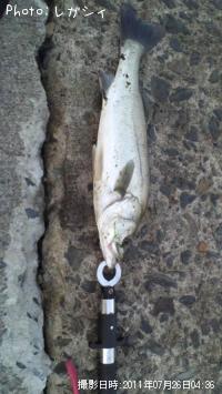 �����Х�