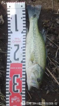 ¥Ö¥é¥Ã¥¯¥Ð¥¹