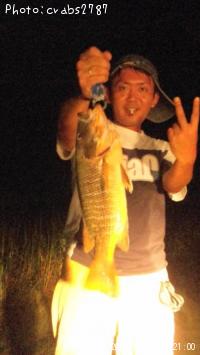 �������ӡ�