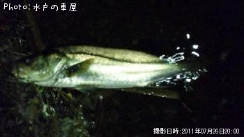 �����Х�