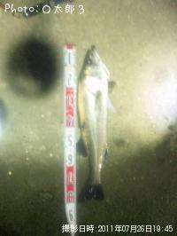 �����Х�