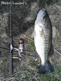 �֥�å��Х�