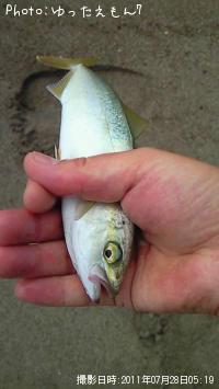 ���ʥ��λ�