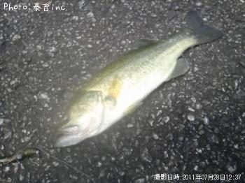 ¥Ö¥é¥Ã¥¯¥Ð¥¹