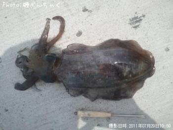 �����ꥤ��