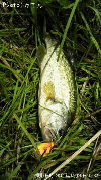 �֥�å��Х�