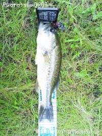 ¥Ö¥é¥Ã¥¯¥Ð¥¹