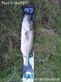 ¥Ö¥é¥Ã¥¯¥Ð¥¹