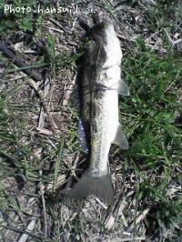 ¥Ö¥é¥Ã¥¯¥Ð¥¹