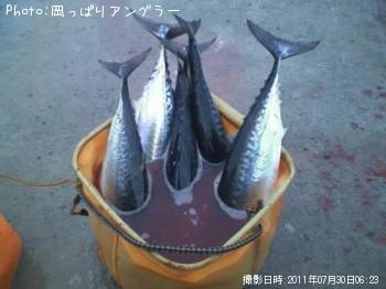 ¥½¥¦¥À¥¬¥Ä¥ª